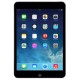Apple Ipad Mini Retina 16Gb 4G Gris Espacial